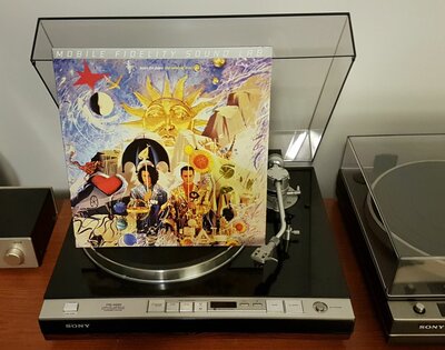 Tears For Fears - The Seeds Of Love (US 2012).jpg