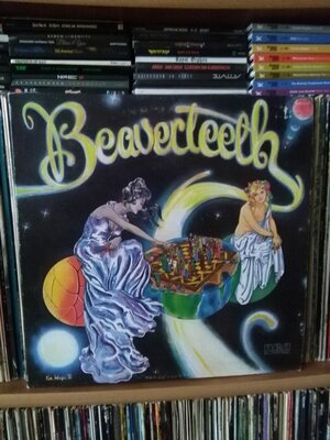 Beaver Teeth - Beaverteeth.jpg