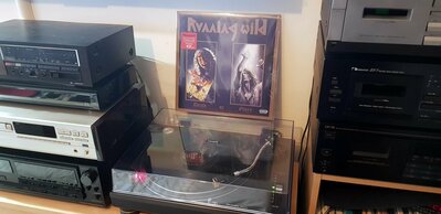 Running Wild - Death or Glory Vinyl.jpg