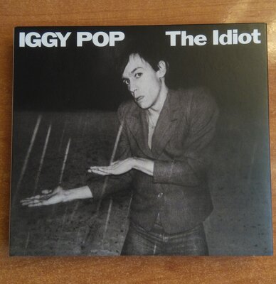 Iggy Pop The Idiot.jpg