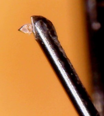 Igła 1.jpg