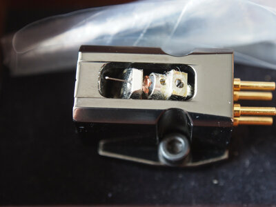 PP-300.JPG