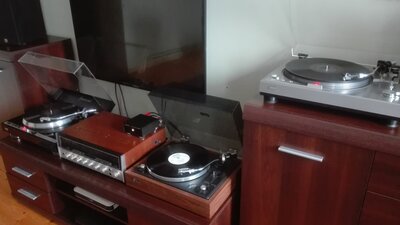 trio z Sansuia