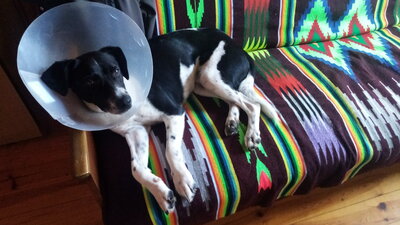 IMG-20210815-WA0011.jpeg