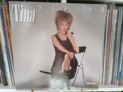 Tina Turner - Private Dancer.jpg