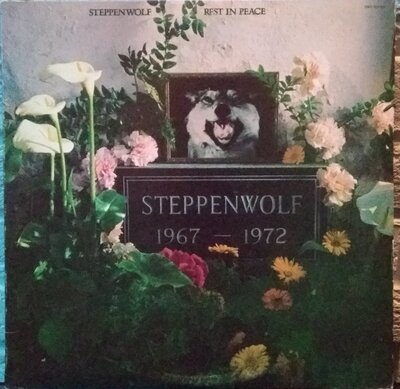steppen wolf.jpg