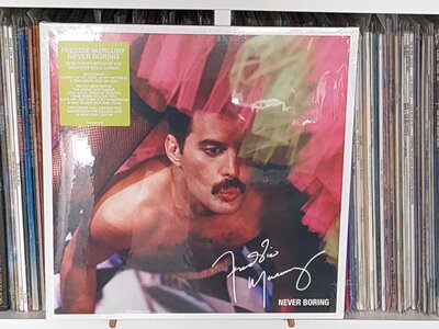Freddie Mercury – Never Boring.jpg