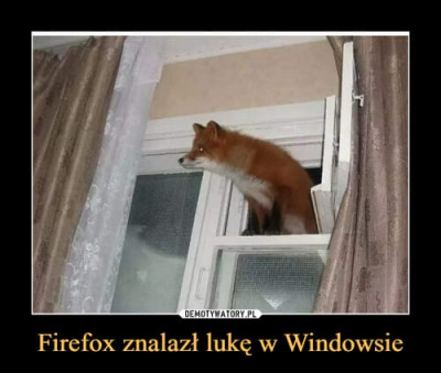 firefox.jpeg