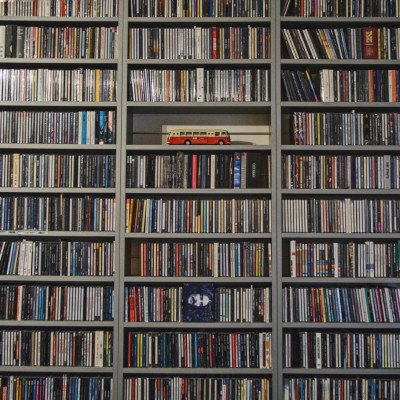 stelka cd.jpg