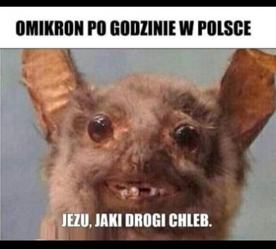 omikron.jpg